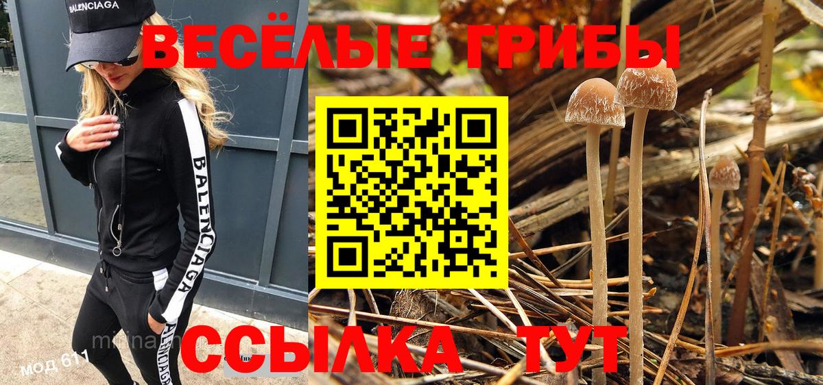 Галлюциногенные грибы Magic Shrooms  Вход с VPN  Бузулук 